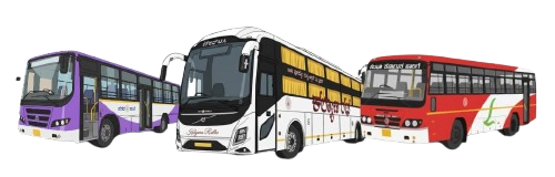 Daily Vehicle Position